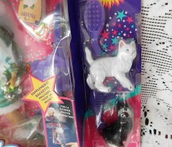 starr taylor pets view